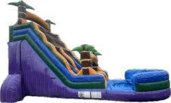 IMG 3484 1743739540 20' King Cake Cascade Waterslide