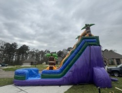 Picture1 1744220076 20' King Cake Cascade Waterslide